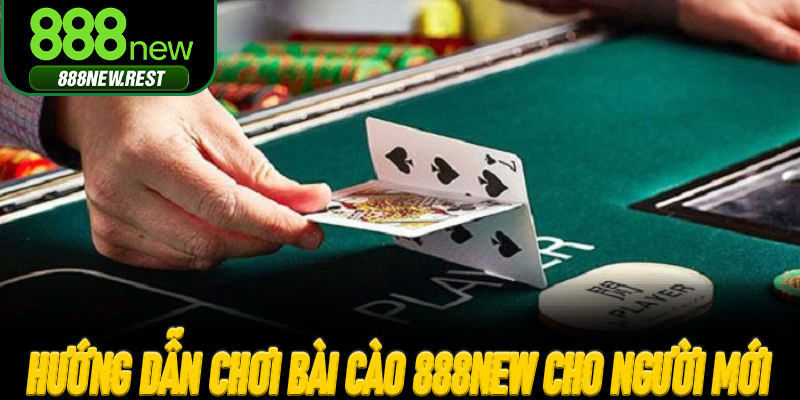 Hướng dẫn chơi Bài Cào 888New cho người mới