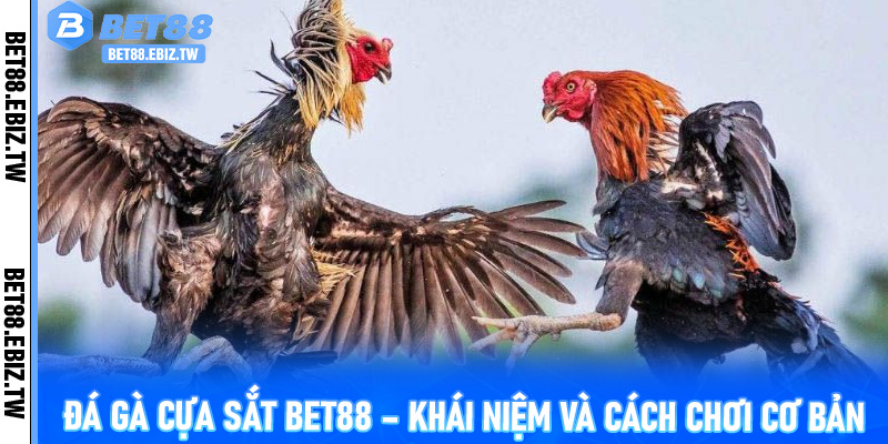 Đá Gà Cựa Sắt Bet88 – Khái niệm và cách chơi cơ bản