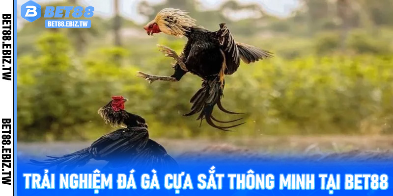 Trải nghiệm Đá Gà Cựa Sắt thông minh tại Bet88
