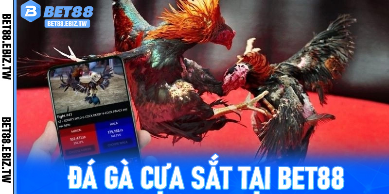 Hướng Dẫn Chi Tiết Chơi Đá Gà Cựa Sắt Tại Bet88 – Tăng Cơ Hội Thắng Lớn