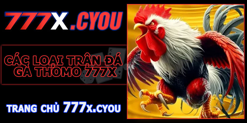 Các Loại Trận Đá Gà Thomo 777X