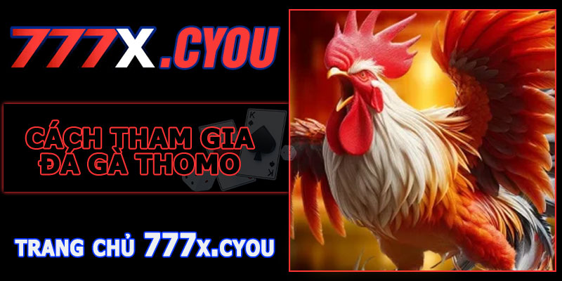 Cách Tham Gia Đá Gà Thomo 777X