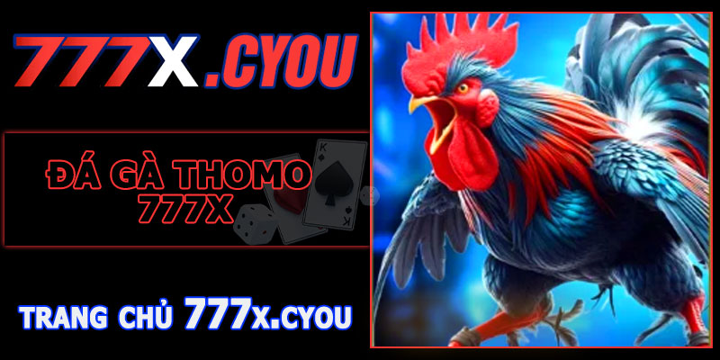 Đá Gà Thomo 777X – Trận Đấu Nảy Lửa, Thưởng Ngập Túi