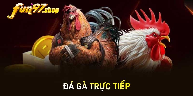 Đá gà trực tiếp