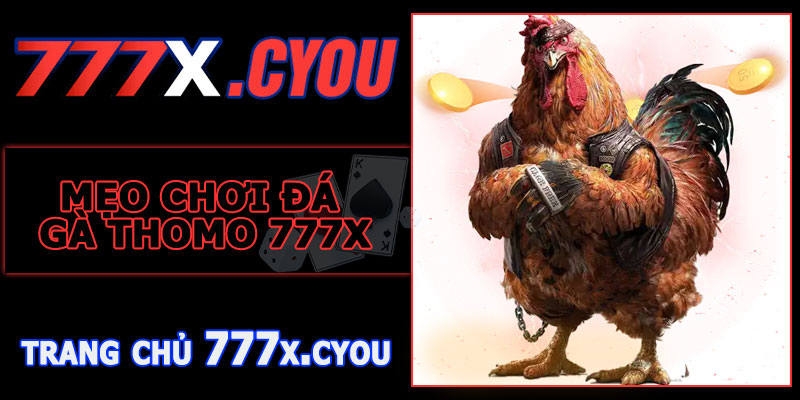 Mẹo Chơi Đá Gà Thomo 777X Hiệu Quả