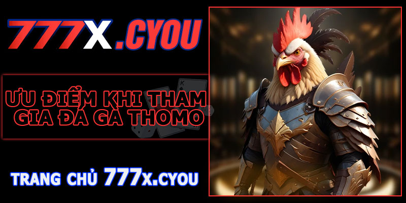 Ưu Điểm Khi Tham Gia Đá Gà Thomo 777X