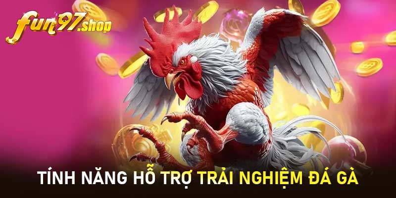  tính năng hỗ trợ trải nghiệm Đá gà trực tiếp 